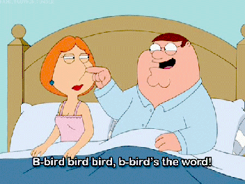 bird-is-the-word.gif
